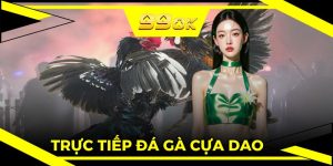 Trực Tiếp Đá Gà Cựa Dao